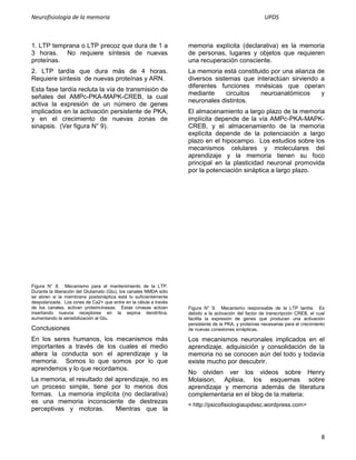 Neurofisiologia de la memoria                                                                          UPDS



1. LTP temprana o LTP precoz que dura de 1 a                       memoria explícita (declarativa) es la memoria
3 horas.   No requiere síntesis de nuevas                          de personas, lugares y objetos que requieren
proteínas.                                                         una recuperación consciente.
2. LTP tardía que dura más de 4 horas.                             La memoria está constituido por una alianza de
Requiere síntesis de nuevas proteínas y ARN.                       diversos sistemas que interactúan sirviendo a
                                                                   diferentes funciones mnésicas que operan
Esta fase tardía recluta la vía de transmisión de
                                                                   mediante     circuitos  neuroanatómicos      y
señales del AMPc-PKA-MAPK-CREB, la cual
                                                                   neuronales distintos.
activa la expresión de un número de genes
implicados en la activación persistente de PKA,                    El almacenamiento a largo plazo de la memoria
y en el crecimiento de nuevas zonas de                             implícita depende de la vía AMPc-PKA-MAPK-
sinapsis. (Ver figura N° 9).                                       CREB, y el almacenamiento de la memoria
                                                                   explícita depende de la potenciación a largo
                                                                   plazo en el hipocampo. Los estudios sobre los
                                                                   mecanismos celulares y moleculares del
                                                                   aprendizaje y la memoria tienen su foco
                                                                   principal en la plasticidad neuronal promovida
                                                                   por la potenciación sináptica a largo plazo.




Figura N° 8. Mecanismo para el mantenimiento de la LTP.
Durante la liberación del Glutamato (Glu), los canales NMDA sólo
se abren si la membrana postsináptica está lo suficientemente
despolarizada. Los iones de Ca2+ que entre en la célula a través
de los canales, activan proteincinasas. Estas cinasas actúan       Figura N° 9. Mecanismo responsable de la LTP tardía. Es
insertando nuevos receptores en la espina dendrítica,              debido a la activación del factor de transcripción CREB, el cual
aumentando la sensibilización al Glu.                              facilita la expresión de genes que producen una activación
                                                                   persistente de la PKA, y proteínas necesarias para el crecimiento
Conclusiones                                                       de nuevas conexiones sinápticas.

En los seres humanos, los mecanismos más                           Los mecanismos neuronales implicados en el
importantes a través de los cuales el medio                        aprendizaje, adquisición y consolidación de la
altera la conducta son el aprendizaje y la                         memoria no se conocen aún del todo y todavía
memoria. Somos lo que somos por lo que                             existe mucho por descubrir.
aprendemos y lo que recordamos.
                                                                   No olviden ver los videos sobre Henry
La memoria, el resultado del aprendizaje, no es                    Molaison, Aplisia, los esquemas sobre
un proceso simple, tiene por lo menos dos                          aprendizaje y memoria además de literatura
formas. La memoria implícita (no declarativa)                      complementaria en el blog de la materia:
es una memoria inconsciente de destrezas
                                                                   < http://psicofisiologiaupdssc.wordpress.com>
perceptivas y motoras.       Mientras que la



                                                                                                                                  8
 