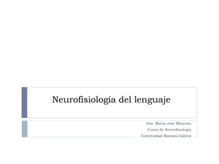 Neurofisiología del lenguaje
Dra. María José Moscoso
Curso de Neurofisiología
Universidad Mariano Gálvez
 