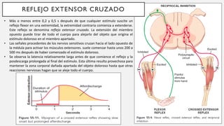 NEUROFISIOLOGIA funciones mototras 2022.pdf