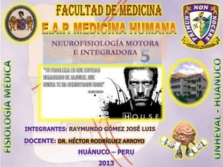 DR. HÉCTOR RODRÍGUEZ ARROYO
1
 