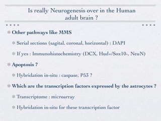 Infant and Adult Neurogenesis | PDF