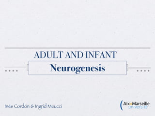 ADULT AND INFANT
                     Neurogenesis


Inés Cordón & Ingrid Meucci
 
