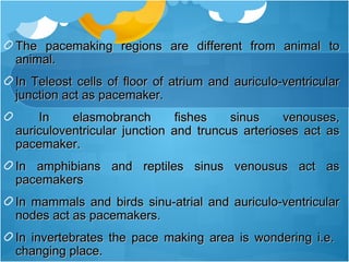 The pacemaking regions are different from animal toThe pacemaking regions are different from animal to
animal.animal.
In T...