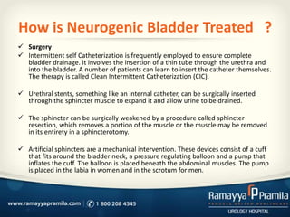 How is Neurogenic Bladder Treated ?
 Surgery
 Intermittent self Catheterization is frequently employed to ensure complete
bladder drainage. It involves the insertion of a thin tube through the urethra and
into the bladder. A number of patients can learn to insert the catheter themselves.
The therapy is called Clean Intermittent Catheterization (CIC).
 Urethral stents, something like an internal catheter, can be surgically inserted
through the sphincter muscle to expand it and allow urine to be drained.
 The sphincter can be surgically weakened by a procedure called sphincter
resection, which removes a portion of the muscle or the muscle may be removed
in its entirety in a sphincterotomy.
 Artificial sphincters are a mechanical intervention. These devices consist of a cuff
that fits around the bladder neck, a pressure regulating balloon and a pump that
inflates the cuff. The balloon is placed beneath the abdominal muscles. The pump
is placed in the labia in women and in the scrotum for men.
 