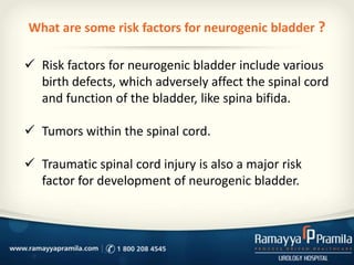 What are some risk factors for neurogenic bladder ?
 Risk factors for neurogenic bladder include various
birth defects, which adversely affect the spinal cord
and function of the bladder, like spina bifida.
 Tumors within the spinal cord.
 Traumatic spinal cord injury is also a major risk
factor for development of neurogenic bladder.
 