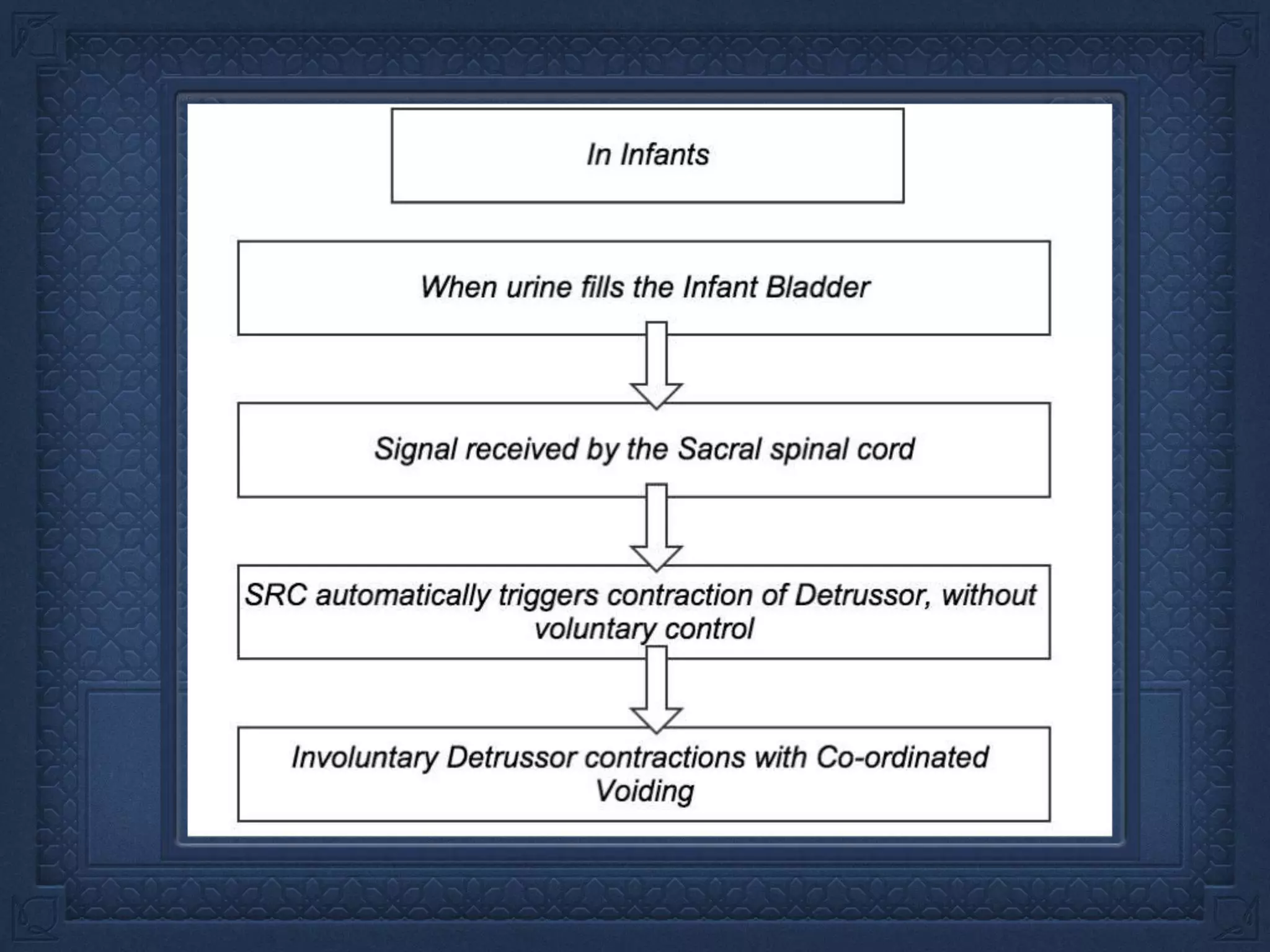 Neurogenic bladder | PPTX