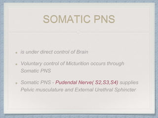 SOMATIC PNS