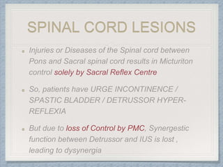 SPINAL CORD LESIONS