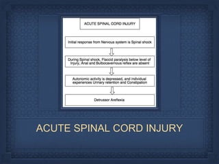 ACUTE SPINAL CORD INJURY
