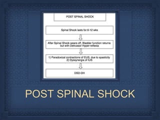 POST SPINAL SHOCK