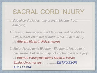 SACRAL CORD INJURY