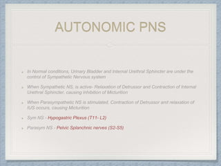 AUTONOMIC PNS