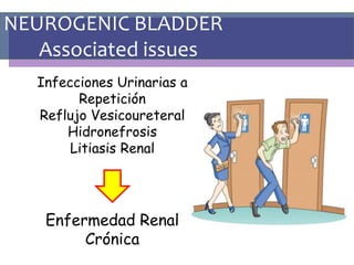 NEUROGENIC BLADDER
Associated issues
Infecciones Urinarias a
Repetición
Reflujo Vesicoureteral
Hidronefrosis
Litiasis Renal
Enfermedad Renal
Crónica
 