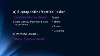 a) Suprapontine/cortical lesion –
“Uninhibited /Cortical bladder”
Severe urgency, frequency & urge
incontinence
b) Pontine lesion –
“ Reflex / Automatic bladder”
Causes
• Stroke
• Tumors
• Dementia
 