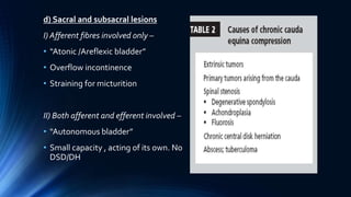 d) Sacral and subsacral lesions
I) Afferent fibres involved only –
• “Atonic /Areflexic bladder”
• Overflow incontinence
• Straining for micturition
II) Both afferent and efferent involved –
• “Autonomous bladder”
• Small capacity , acting of its own. No
DSD/DH
 