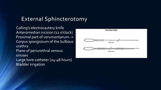 External Sphincterotomy
Colling’s electrocautery knife
Anteromedian incision (12 o’clock)
Proximal part of verumontanum ->
Corpus spongiosum of the bulbous
urethra
Plane of periurethral venous
sinuses
Large bore catheter (24-48 hours)
Bladder irrigation
 