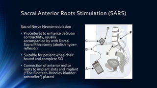 Sacral Anterior Roots Stimulation (SARS)
Sacral Nerve Neuromodulation
• Procedures to enhance detrusor
contractility, usually
accompanied by with Dorsal
Sacral Rhizotomy (abolish hyper-
reflexia )
• Suitable for patient wheelchair
bound and complete SCI
• Connection of anterior motor
roots to implant slots and implant
(“The Finetech-Brindley bladder
controller”) placed
 