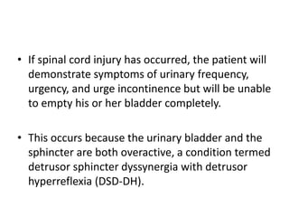 • If spinal cord injury has occurred, the patient will
demonstrate symptoms of urinary frequency,
urgency, and urge incontinence but will be unable
to empty his or her bladder completely.
• This occurs because the urinary bladder and the
sphincter are both overactive, a condition termed
detrusor sphincter dyssynergia with detrusor
hyperreflexia (DSD-DH).
 