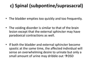 c) Spinal (subpontine/suprasacral)
• The bladder empties too quickly and too frequently.
• The voiding disorder is similar to that of the brain
lesion except that the external sphincter may have
paradoxical contractions as well.
• If both the bladder and external sphincter become
spastic at the same time, the affected individual will
sense an overwhelming desire to urinate but only a
small amount of urine may dribble out DSD
 