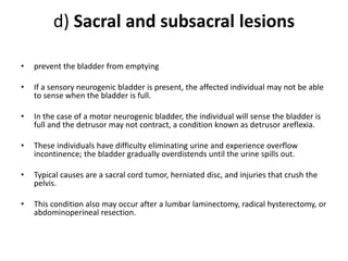 d) Sacral and subsacral lesions
• prevent the bladder from emptying
• If a sensory neurogenic bladder is present, the affected individual may not be able
to sense when the bladder is full.
• In the case of a motor neurogenic bladder, the individual will sense the bladder is
full and the detrusor may not contract, a condition known as detrusor areflexia.
• These individuals have difficulty eliminating urine and experience overflow
incontinence; the bladder gradually overdistends until the urine spills out.
• Typical causes are a sacral cord tumor, herniated disc, and injuries that crush the
pelvis.
• This condition also may occur after a lumbar laminectomy, radical hysterectomy, or
abdominoperineal resection.
 