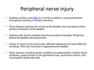 Peripheral nerve injury
• Diabetes mellitus and AIDS are 2 of the conditions causing peripheral
neuropathy resulting in urinary retention.
• These diseases destroy the nerves to the bladder and may lead to silent,
painless distention of the bladder.
• Patients with chronic diabetes lose the sensation of bladder filling first,
before the bladder decompensates.
• Similar to injury to the sacral cord, affected individuals will have difficulty
urinating. They also may have a hypocontractile bladder.
• Other diseases manifesting this condition are poliomyelitis, Guillain-Barré
syndrome, severe herpes in the genitoanal area, pernicious anemia, and
neurosyphilis (tabes dorsalis).
 