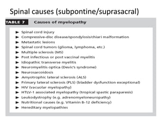 Spinal causes (subpontine/suprasacral)
 