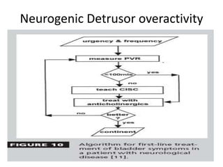 Neurogenic Detrusor overactivity
 