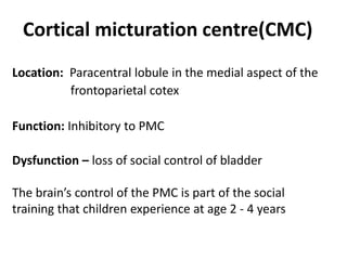 Cortical micturation centre(CMC)
Location: Paracentral lobule in the medial aspect of the
frontoparietal cotex
Function: Inhibitory to PMC
Dysfunction – loss of social control of bladder
The brain’s control of the PMC is part of the social
training that children experience at age 2 - 4 years
 