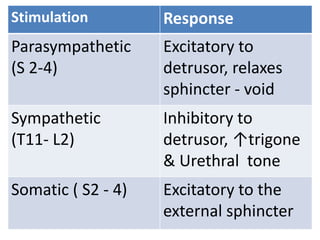 Stimulation Response
Parasympathetic
(S 2-4)
Excitatory to
detrusor, relaxes
sphincter - void
Sympathetic
(T11- L2)
Inhibitory to
detrusor, ↑trigone
& Urethral tone
Somatic ( S2 - 4) Excitatory to the
external sphincter
 