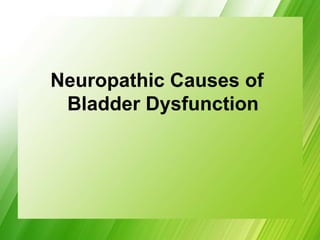 Neuropathic Causes of
Bladder Dysfunction
 