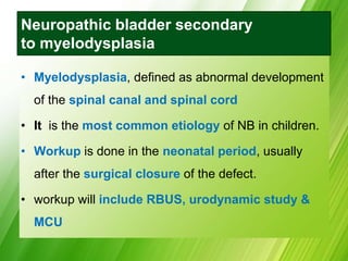 Neuropathic bladder secondary
to myelodysplasia
• Myelodysplasia, defined as abnormal development
of the spinal canal and spinal cord
• It is the most common etiology of NB in children.
• Workup is done in the neonatal period, usually
after the surgical closure of the defect.
• workup will include RBUS, urodynamic study &
MCU
 