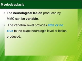 • The neurological lesion produced by
MMC can be variable.
• The vertebral level provides little or no
clue to the exact neurologic level or lesion
produced.
Myelodysplasia
 
