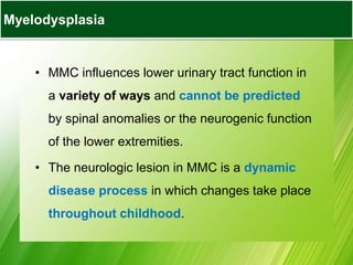 • MMC influences lower urinary tract function in
a variety of ways and cannot be predicted
by spinal anomalies or the neurogenic function
of the lower extremities.
• The neurologic lesion in MMC is a dynamic
disease process in which changes take place
throughout childhood.
Myelodysplasia
 