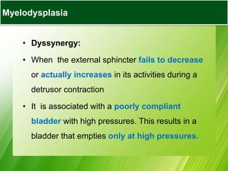 • Dyssynergy:
• When the external sphincter fails to decrease
or actually increases in its activities during a
detrusor contraction
• It is associated with a poorly compliant
bladder with high pressures. This results in a
bladder that empties only at high pressures.
Myelodysplasia
 