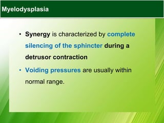 • Synergy is characterized by complete
silencing of the sphincter during a
detrusor contraction
• Voiding pressures are usually within
normal range.
Myelodysplasia
 