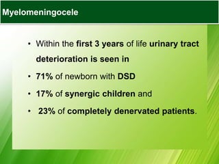 • Within the first 3 years of life urinary tract
deterioration is seen in
• 71% of newborn with DSD
• 17% of synergic children and
• 23% of completely denervated patients.
Myelomeningocele
 