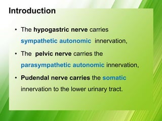 Introduction
• The hypogastric nerve carries
sympathetic autonomic innervation,
• The pelvic nerve carries the
parasympathetic autonomic innervation,
• Pudendal nerve carries the somatic
innervation to the lower urinary tract.
 