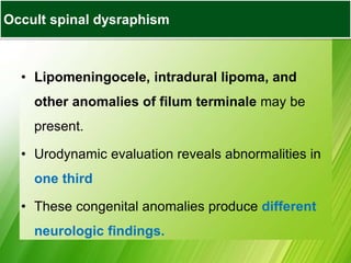 • Lipomeningocele, intradural lipoma, and
other anomalies of filum terminale may be
present.
• Urodynamic evaluation reveals abnormalities in
one third
• These congenital anomalies produce different
neurologic findings.
Occult spinal dysraphism
 