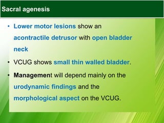 • Lower motor lesions show an
acontractile detrusor with open bladder
neck
• VCUG shows small thin walled bladder.
• Management will depend mainly on the
urodynamic findings and the
morphological aspect on the VCUG.
Sacral agenesis
 
