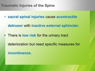 • sacral spinal injuries cause acontractile
detrusor with inactive external sphincter.
• There is low risk for the urinary tract
deterioration but need specific measures for
incontinence.
Traumatic Injuries of the Spine
 
