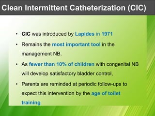 Clean Intermittent Catheterization (CIC)
• CIC was introduced by Lapides in 1971
• Remains the most important tool in the
management NB.
• As fewer than 10% of children with congenital NB
will develop satisfactory bladder control,
• Parents are reminded at periodic follow-ups to
expect this intervention by the age of toilet
training
 
