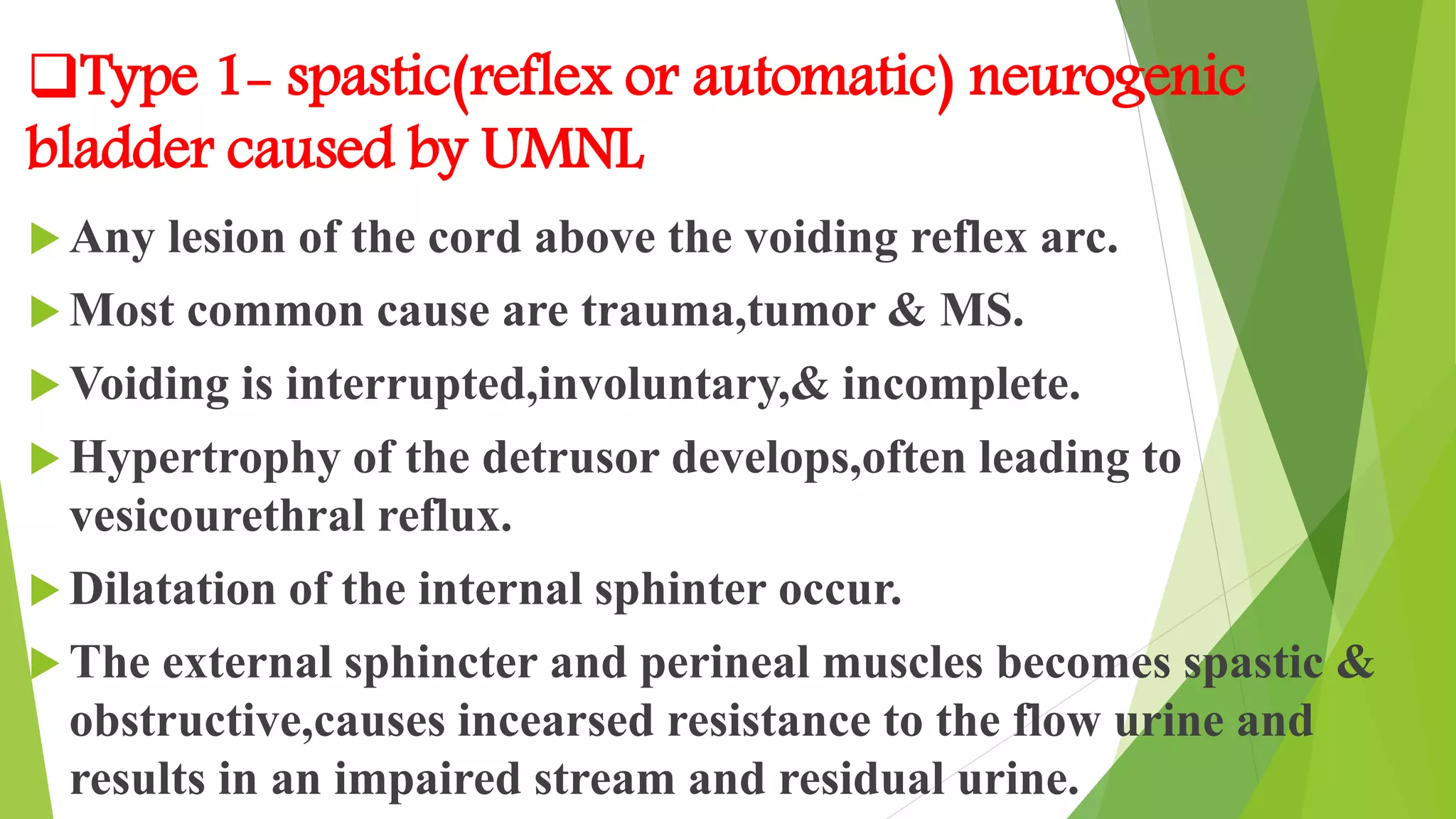 Type 1- spastic(reflex or automatic) neurogenic
bladder caused by UMNL
 Any lesion of the cord above the voiding reflex arc.
 Most common cause are trauma,tumor & MS.
 Voiding is interrupted,involuntary,& incomplete.
 Hypertrophy of the detrusor develops,often leading to
vesicourethral reflux.
 Dilatation of the internal sphinter occur.
 The external sphincter and perineal muscles becomes spastic &
obstructive,causes incearsed resistance to the flow urine and
results in an impaired stream and residual urine.
 