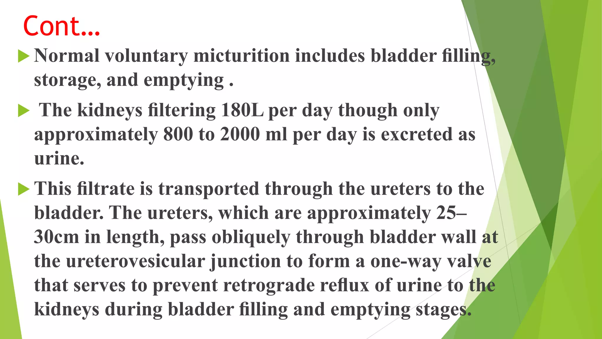 Cont…
 Normal voluntary micturition includes bladder ﬁlling,
storage, and emptying .
 The kidneys ﬁltering 180L per day though only
approximately 800 to 2000 ml per day is excreted as
urine.
 This ﬁltrate is transported through the ureters to the
bladder. The ureters, which are approximately 25–
30cm in length, pass obliquely through bladder wall at
the ureterovesicular junction to form a one-way valve
that serves to prevent retrograde reﬂux of urine to the
kidneys during bladder ﬁlling and emptying stages.
 