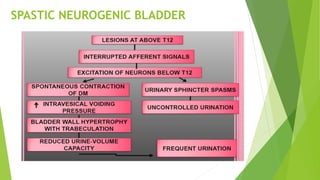 SPASTIC NEUROGENIC BLADDER
 