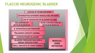 FLACCID NEUROGENIC BLADDER
 