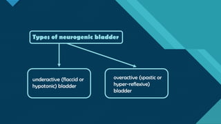 Neurogenic Bladder.pdf