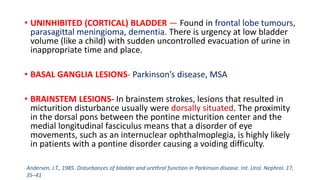 Pons Ino NEUROGENIC BLADDER.pptx