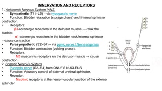 NEUROGENIC BLADDER / NEUROGENIC LUTD pdf. | PDF