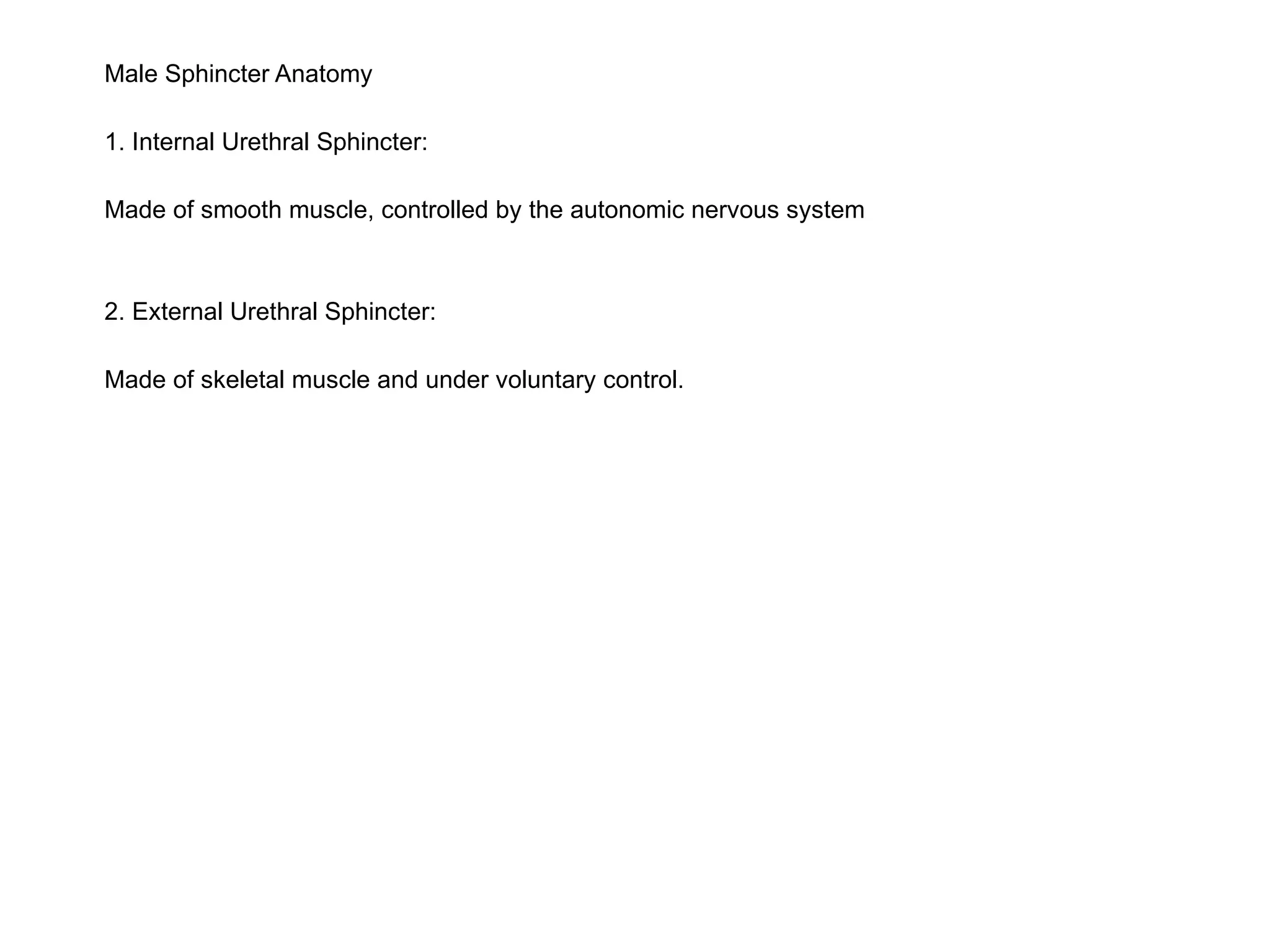 Male Sphincter Anatomy
1. Internal Urethral Sphincter:
Made of smooth muscle, controlled by the autonomic nervous system
2. External Urethral Sphincter:
Made of skeletal muscle and under voluntary control.
 