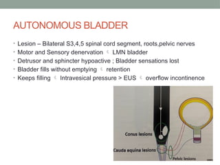 Neurogenic Bladder - Neurology of Urinary bladder.pptx